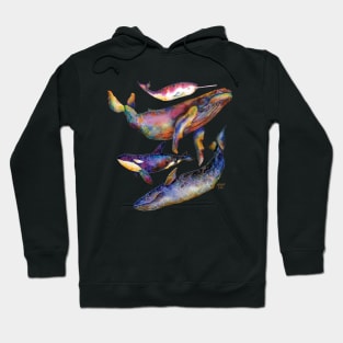 Four Whale Quartet - A Quartet of Whales Hoodie